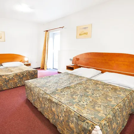 House Zizkov 3* Πράγα